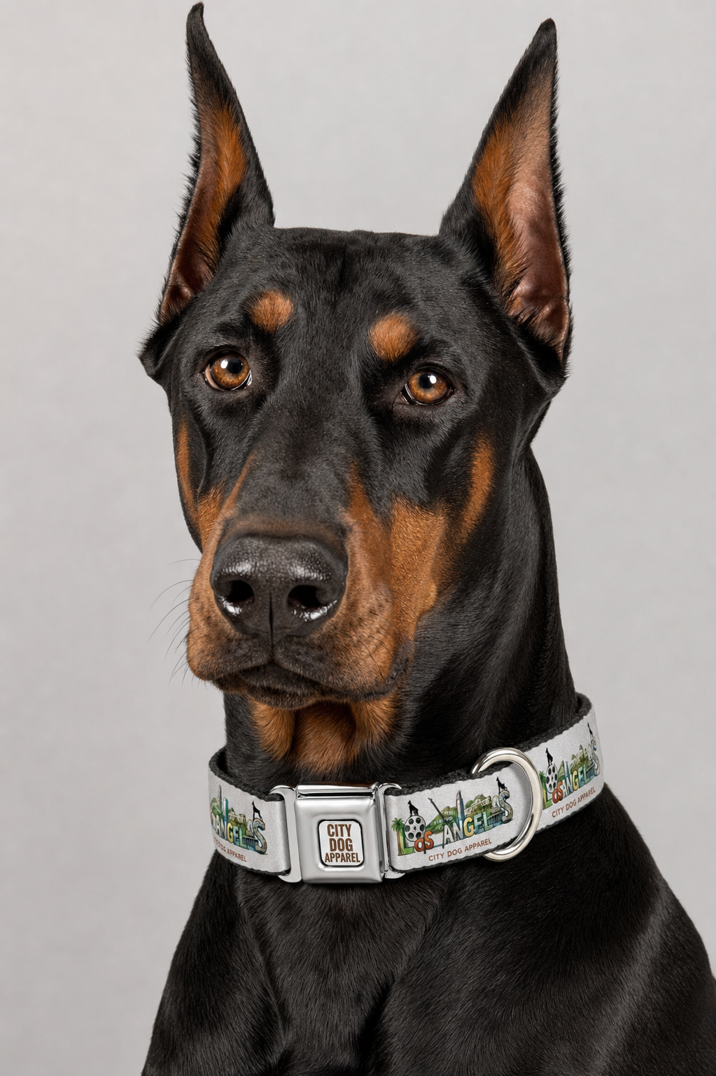 Los Angeles Silver Screen Dog Collar