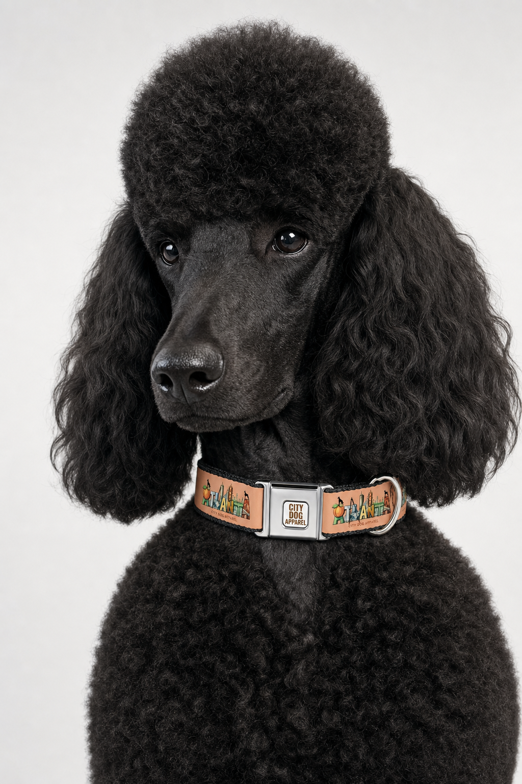 Atlanta’s Peachy Collar