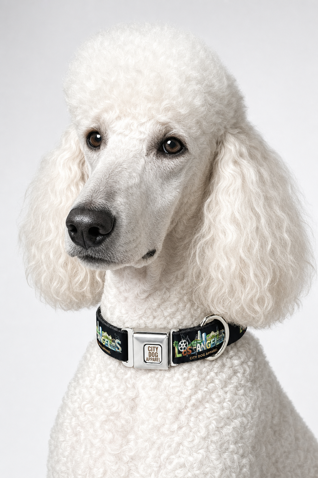Los Angeles Nights Dog Collar