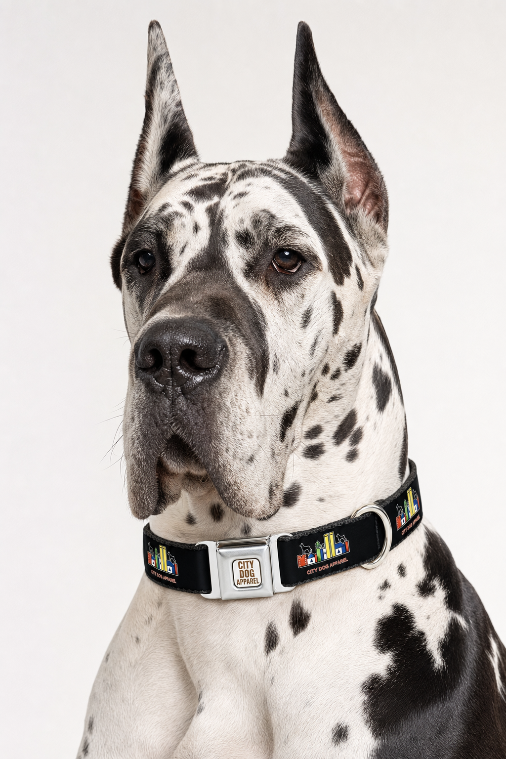 Manhattan Nights Dog Collar