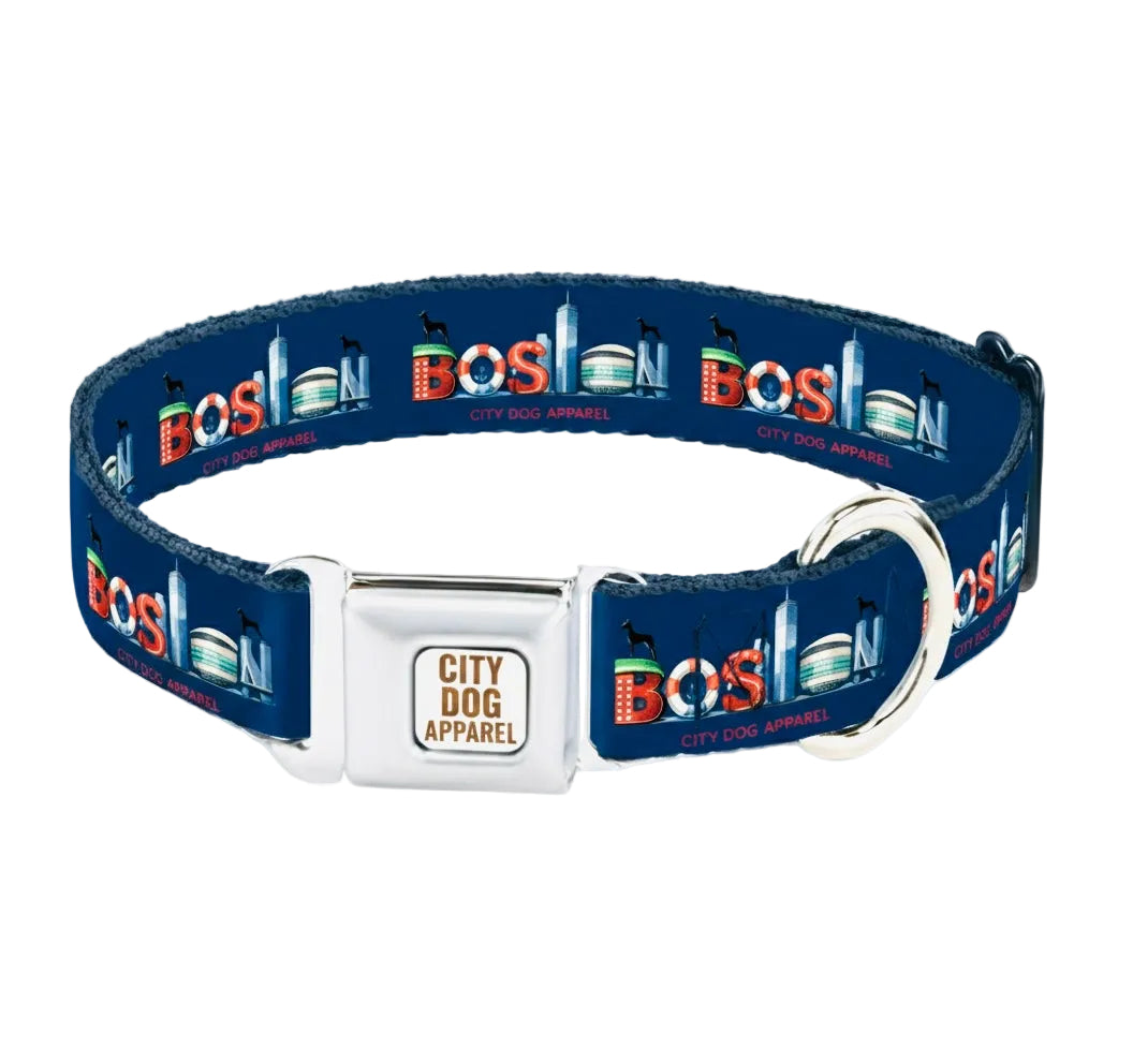 Boston’s Tru Blue Dog Collar